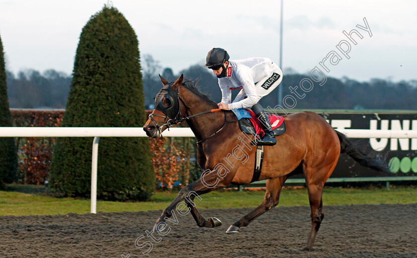 Mack-The-Knife-0004 
 MACK THE KNIFE (Daniel Muscutt) wins The Join Racing TV Now Classified Stakes
Kempton 16 Feb 2021 - Pic Steven Cargill / Racingfotos.com