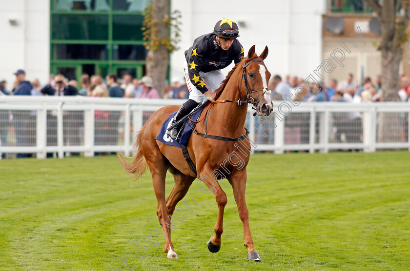 Tarbaan-0001 
 TARBAAN (Tom Marquand)
Yarmouth 13 Sep 2022 - Pic Steven Cargill / Racingfotos.com