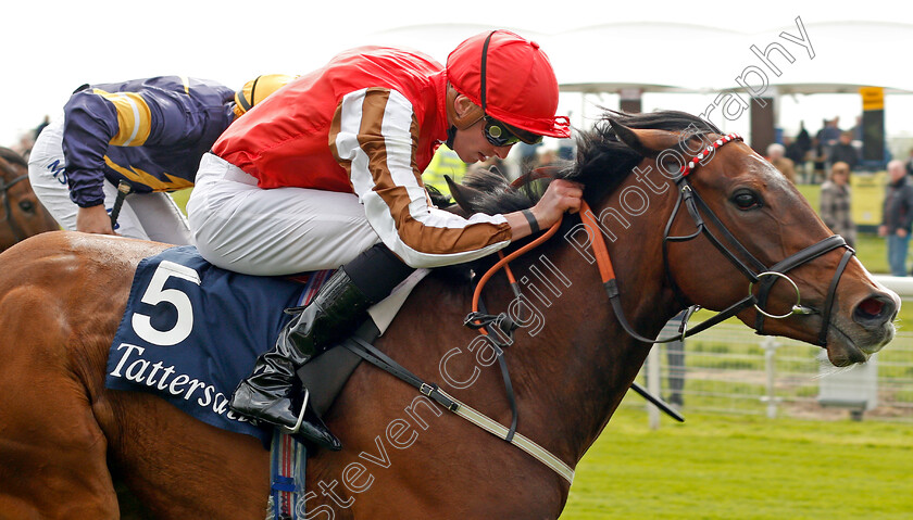 Give-And-Take-0006 
 GIVE AND TAKE (James Doyle) wins The Tattersalls Musidora Stakes York 16 May 2018 - Pic Steven Cargill / Racingfotos.com