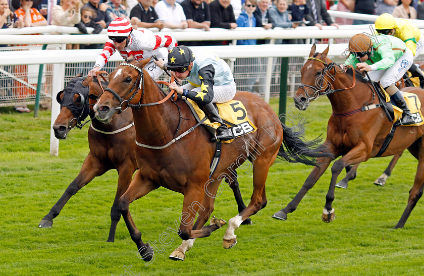 Lion-Tower-0002 
 LION TOWER (Sam James) beats YOUNG FIRE (left) in The JCB Handicap
York 11 Jun 2022 - Pic Steven Cargill / Racingfotos.com