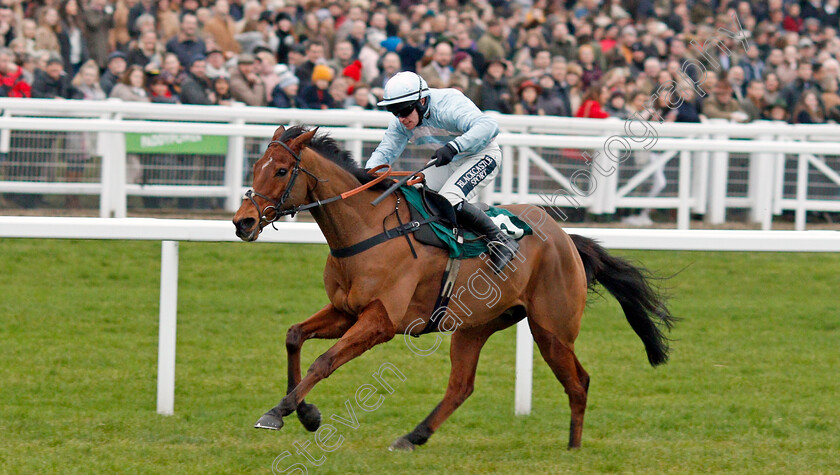 Summerville-Boy-0005 
 SUMMERVILLE BOY (Jonathan Burke) wins The Dornan Engineering Relkeel Hurdle
Cheltenham 1 Jan 2020 - Pic Steven Cargill / Racingfotos.com