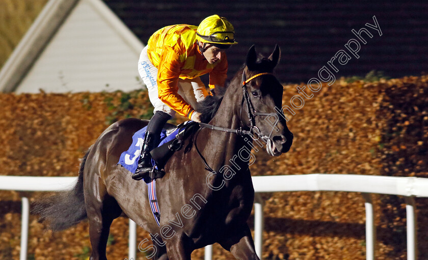 First-Principle-0005 
 FIRST PRINCIPLE (Richard Kingscote) winner of The Unibet EBF Novice Stakes Div1
Kempton 4 Dec 2024 - pic Steven Cargill / Racingfotos.com