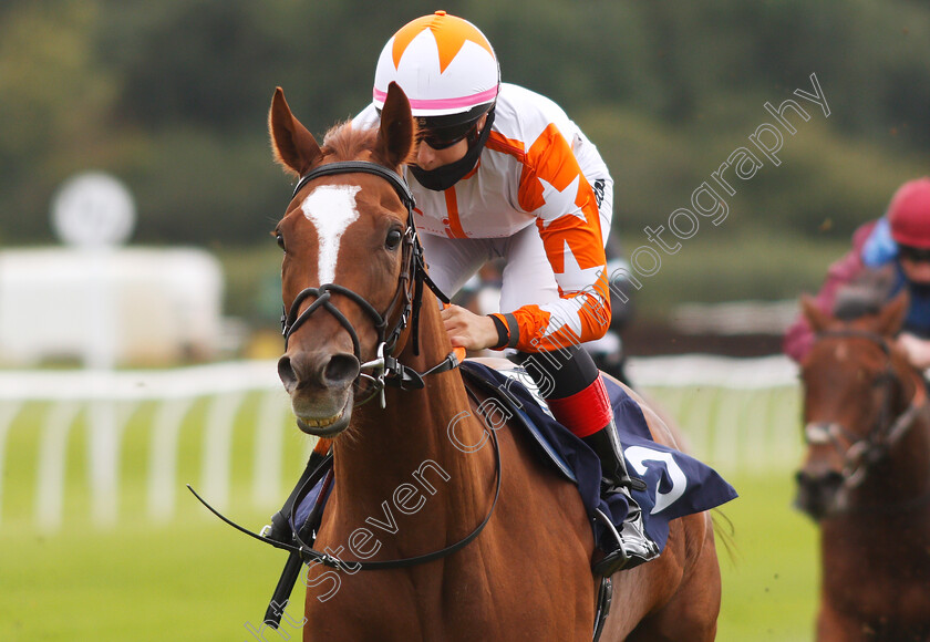 Torochica-0005 
 TOROCHICA (Josephine Gordon) wins The Betway Handicap
Lingfield 7 Sep 2020 - Pic Steven Cargill / Racingfotos.com