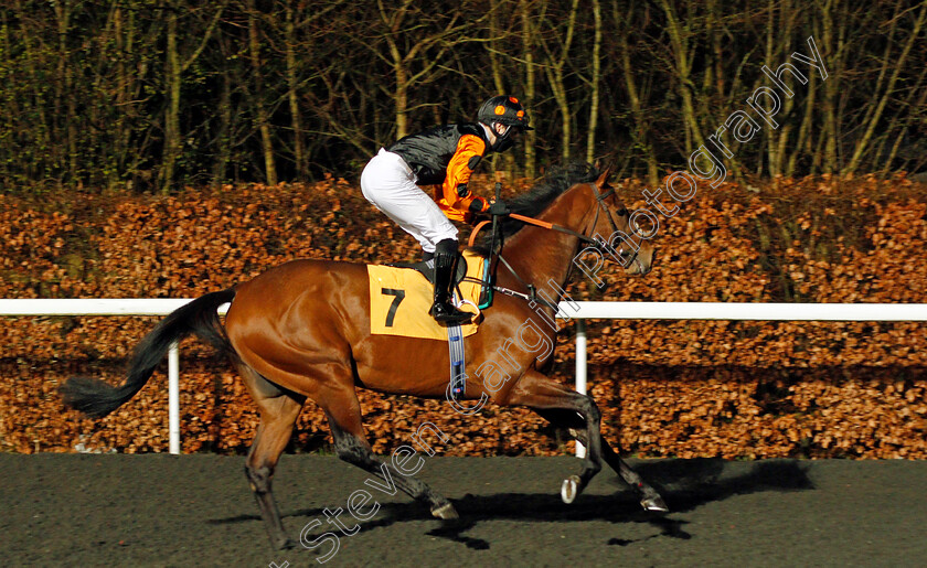 Sergeant-Tibbs-0001 
 SERGEANT TIBBS (Ryan Tate)
Kempton 3 Mar 2021 - Pic Steven Cargill / Racingfotos.com