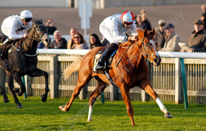 Lawful-Command-0003 
 LAWFUL COMMAND (Louis Steward) wins The Jean Bucknell A Lifetime In Racing Nursery
Newmarket 20 Oct 2021 - Pic Steven Cargill / Racingfotos.com