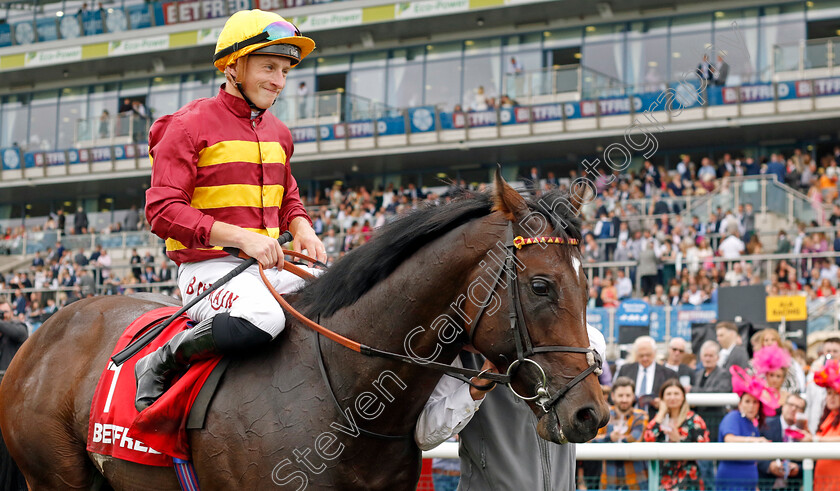 Iberian-0007 
 IBERIAN (Tom Marquand) winner of The Betfred Champagne Stakes
Doncaster 16 Sep 2023 - Pic Steven Cargill / Racingfotos.com