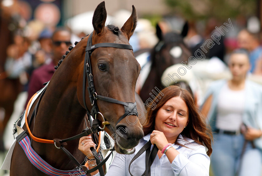 Maw-Lam-0003 
 MAW LAM 
Deauville 3 Aug 2024 - Pic Steven Cargill / Racingfotos.com