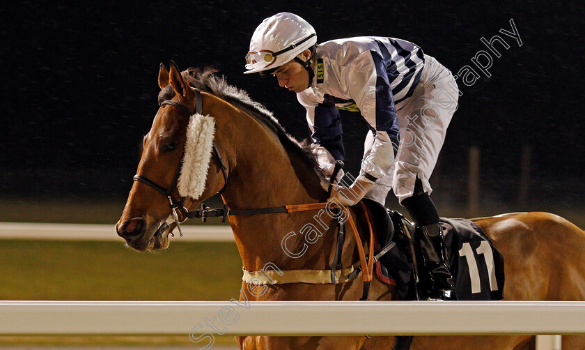 Gold-Hunter-0001 
 GOLD HUNTER (Finley Marsh) Chelmsford 1 Dec 2017 - Pic Steven Cargill / Racingfotos.com