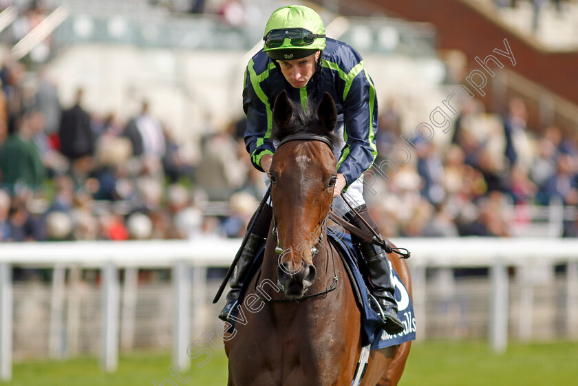 The-Algarve-0003 
 THE ALGARVE (Ryan Moore)
York 11 May 2022 - Pic Steven Cargill / Racingfotos.com