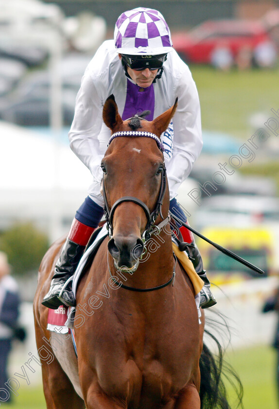 Poetic-Flare-0003 
 POETIC FLARE (Kevin Manning)
Goodwood 28 Jul 2021 - Pic Steven Cargill / Racingfotos.com