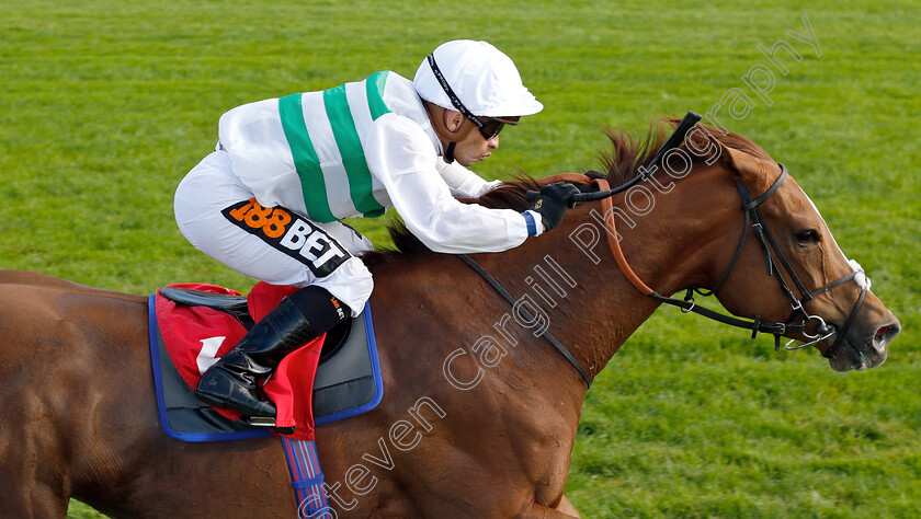 Akvavera-0007 
 AKVAVERA (Silvestre De Sousa) wins The Smarkets Betting Exchange Fillies Handicap
Sandown 19 Sep 2018 - Pic Steven Cargill / Racingfotos.com