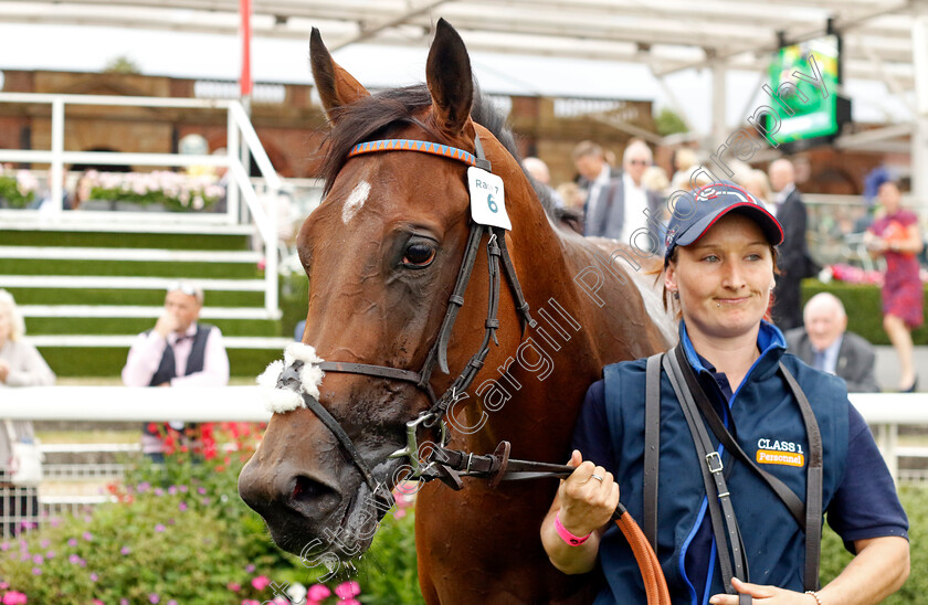 Adaay-In-Asia-0005 
 ADAAY IN ASIA winner of The British Stallion Studs EBF Fillies Handicap
York 18 Aug 2022 - Pic Steven Cargill / Racingfotos.com