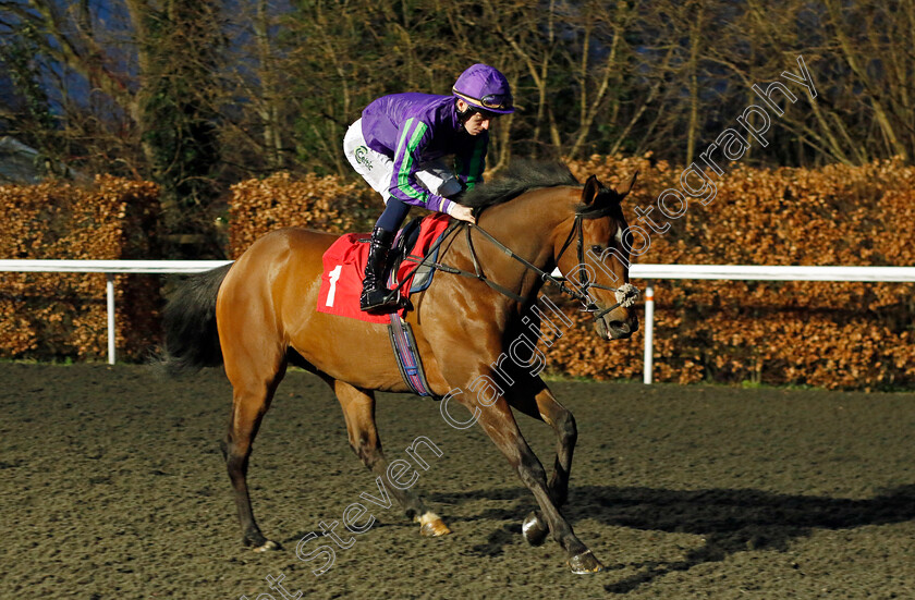 Federated-0001 
 FEDERATED (Paddy Bradley)
Kempton 14 Feb 2024 - Pic Steven Cargill / Racingfotos.com