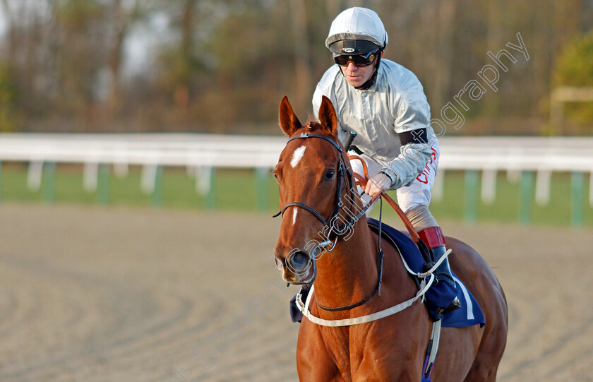 Cuckoo-Clock-0002 
 CUCKOO CLOCK (Franny Norton)
Lingfield 8 Feb 2020 - Pic Steven Cargill / Racingfotos.com