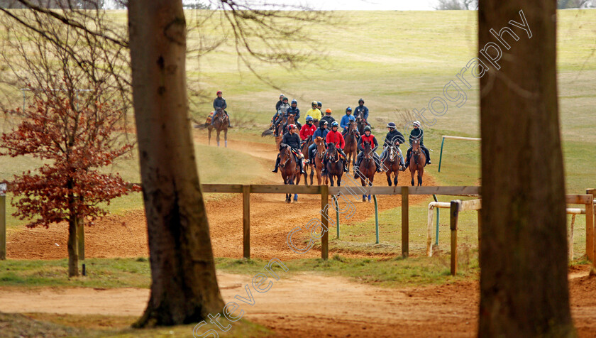 John-Gosden-0011 
 String of two year olds trained by John Gosden return from the gallops in Newmarket 23 Mar 2018 - Pic Steven Cargill / Racingfotos.com