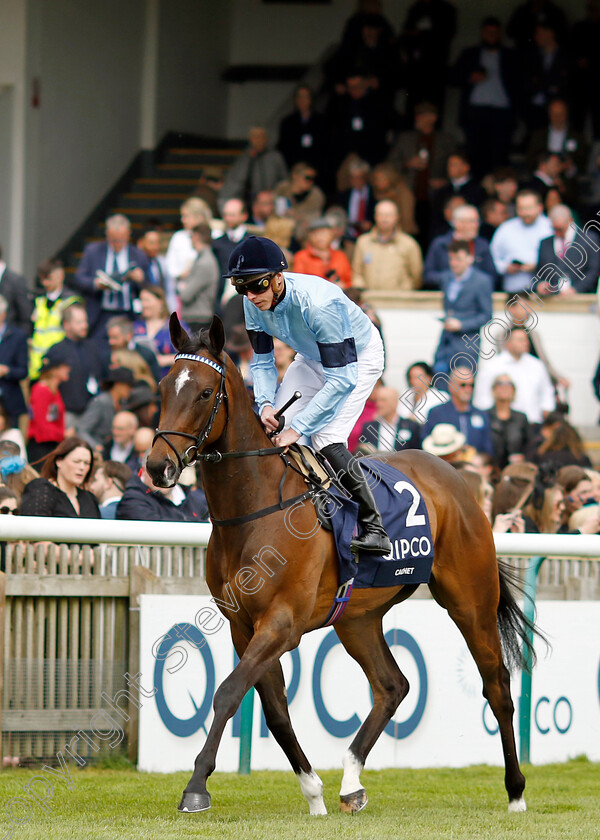 Cachet-0001 
 CACHET (James Doyle) winner of The Qipco 1000 Guineas
Newmarket 1 May 2022 - Pic Steven Cargill / Racingfotos.com