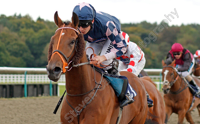 Road-To-Paris-0005 
 ROAD TO PARIS (Luke Morris) wins The First For Industry Jobs Visit Starrecruitment.bet Handicap
Lingfield 3 Oct 2019 - Pic Steven Cargill / Racingfotos.com