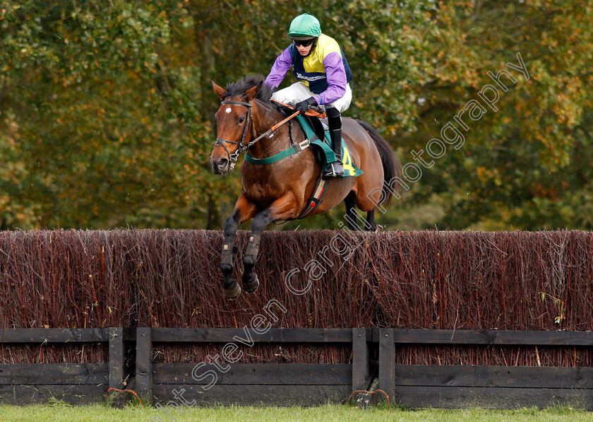 Liffeydale-Dreamer-0001 
 LIFFEYDALE DREAMER (Jonathan England)
Fakenham 16 Oct 2020 - Pic Steven Cargill / Racingfotos.com