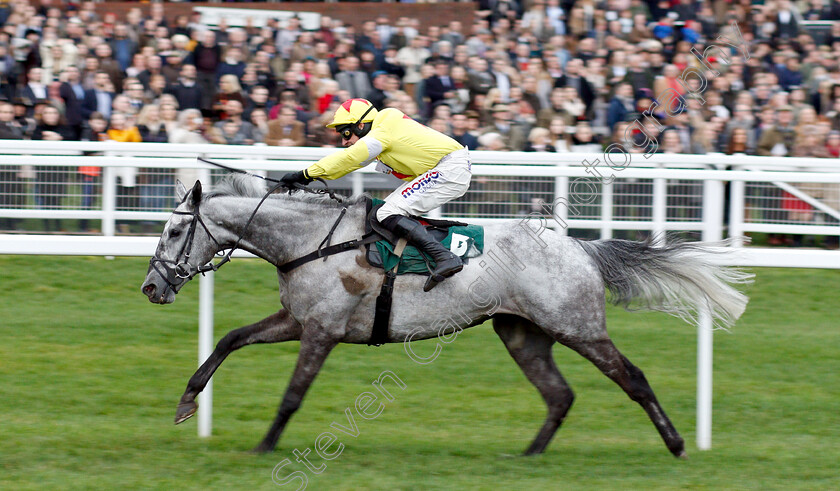 Aux-Ptits-Soins-0004 
 AUX PTITS SOINS (Harry Skelton) wins The Simplify Horse Racing Selections With Betfinder At BetBright Handicap Hurdle
Cheltenham 1 Jan 2019 - Pic Steven Cargill / Racingfotos.com