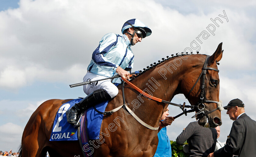 Get-Shirty-0001 
 GET SHIRTY (Daniel Tudhope)
Doncaster 11 Sep 2022 - Pic Steven Cargill / Racingfotos.com