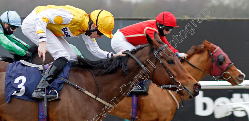 Invincible-Larne-0003 
 INVINCIBLE LARNE (Callum Shepherd) wins The Read Katie Walsh On Betway Insider Handicap
Lingfield 27 Jan 2021 - Pic Steven Cargill / Racingfotos.com