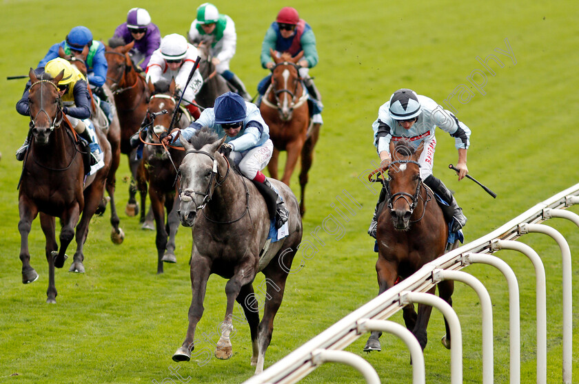 Harrow-0002 
 HARROW (Oisin Murphy) beats MAGLEV (right) in The OR8wellness EBF Stallions Nursery
York 19 Aug 2021 - Pic Steven Cargill / Racingfotos.com