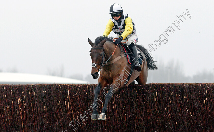 Next-Destination-0004 
 NEXT DESTINATION (Harry Cobden) wins The Ladbrokes John Francome Novices Chase
Newbury 28 Nov 2020 - Pic Steven Cargill / Racingfotos.com