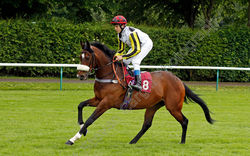 Reveal-0001 
 REVEAL (Tommie Jakes)
Haydock 24 May 2024 - Pic Steven cargill / Racingfotos.com