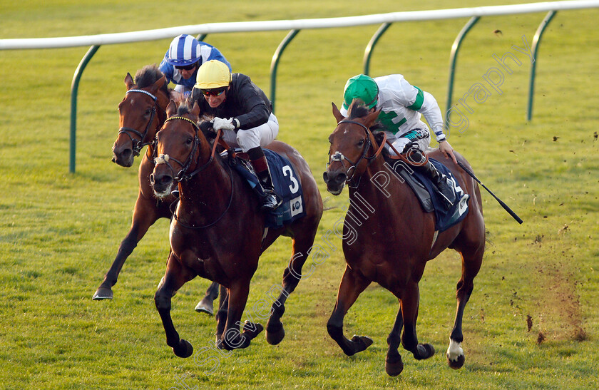 Ginistrelli-0005 
 GINISTRELLI (left, Gerald Mosse) beats JAMES PARK WOODS (right) in The British EBF Novice Stakes
Newmarket 24 Oct 2018 - Pic Steven Cargill / Racingfotos.com