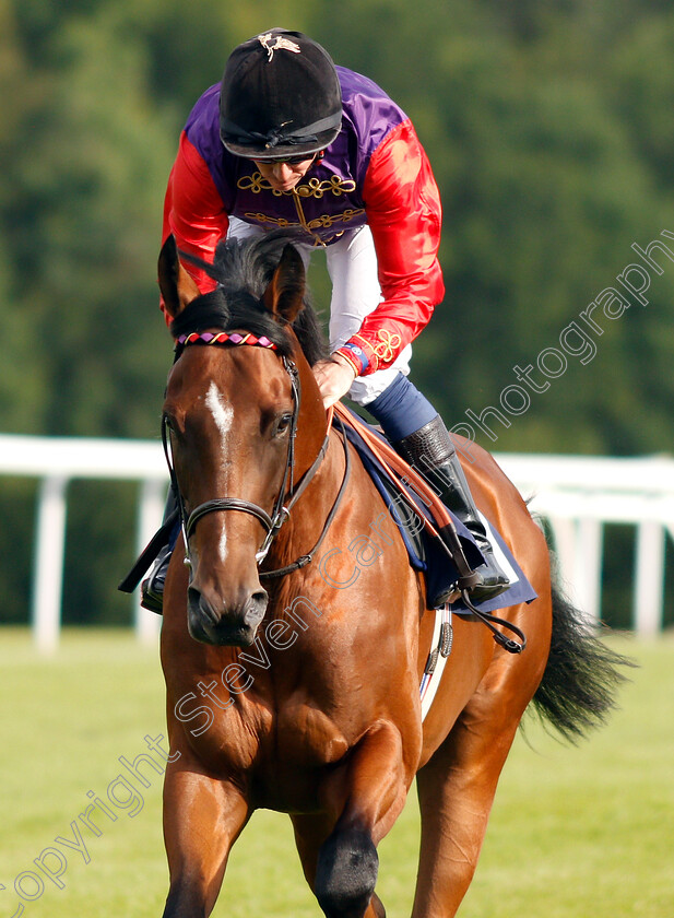 Cloud-Drift-0001 
 CLOUD DRIFT (Jim Crowley) 
Chepstow 2 Jul 2019 - Pic Steven Cargill / Racingfotos.com