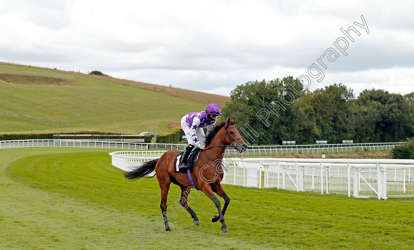 Lullaby-Moon-0001 
 LULLABY MOON (Rossa Ryan) winner of The Ladbrokes Giving Extra Places Every Day EBF Fillies Novice Auction Stakes
Goodwood 29 Aug 2020 - Pic Steven Cargill / Racingfotos.com