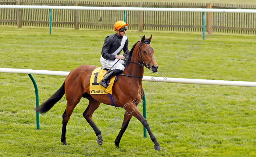 Arion 
 ARION (James Doyle)
Newmarket 1 May 2022 - Pic Steven Cargill / Racingfotos.com