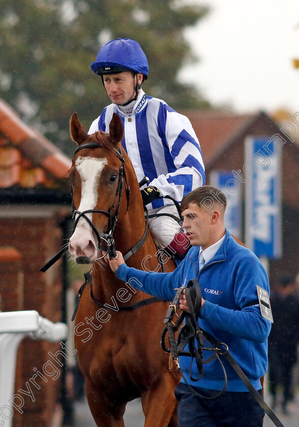 Seagulls-Eleven-0001 
 SEAGULLS ELEVEN (Oisin Murphy)
Newmarket 12 Oct 2024 - Pic Steven Cargill / Racingfotos.com