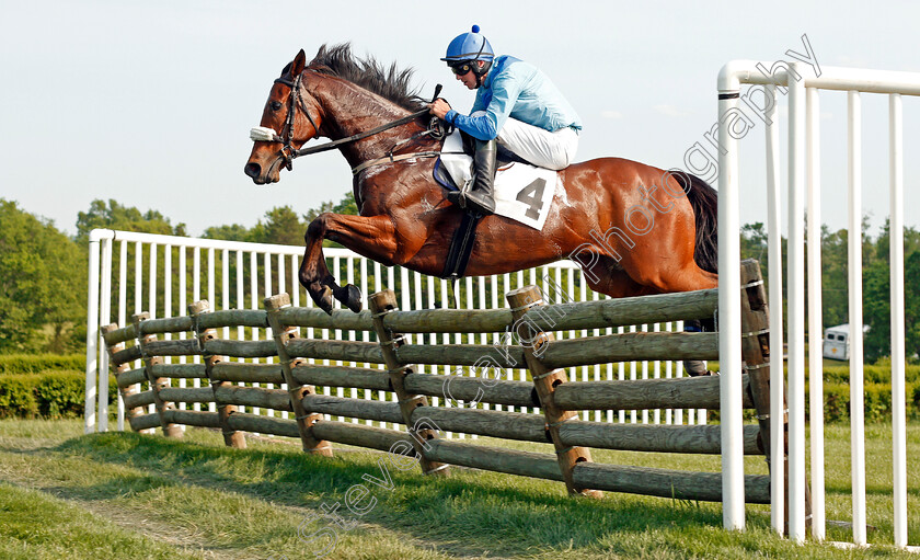 Plated-0001 
 PLATED (Jack Doyle) wins The Mason Houghton Memorial Timber Steeplechase, Percy Warner Park, Nashville 12 May 2018 - Pic Steven Cargill / Racingfotos.com