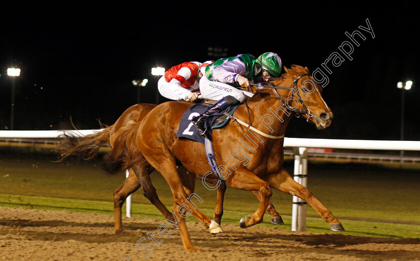 Lihou-0003 
 LIHOU (Darragh Keenan) wins The Play 4 To Win At Betway Handicap
Wolverhampton 11 Jan 2021 - Pic Steven Cargill / Racingfotos.com