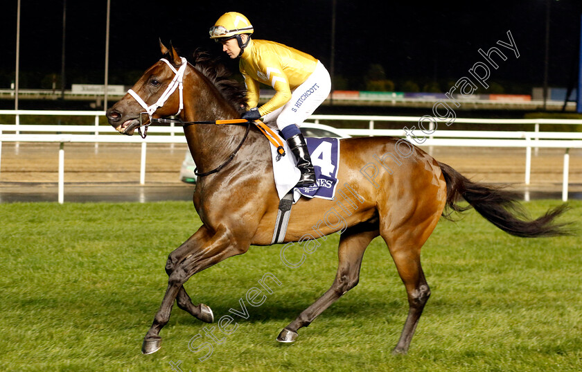 Mcmanaman-0001 
 MCMANAMAN (Sam Hitchcott)
Meydan 27 Jan 2023 - Pic Steven Cargill / Racingfotos.com