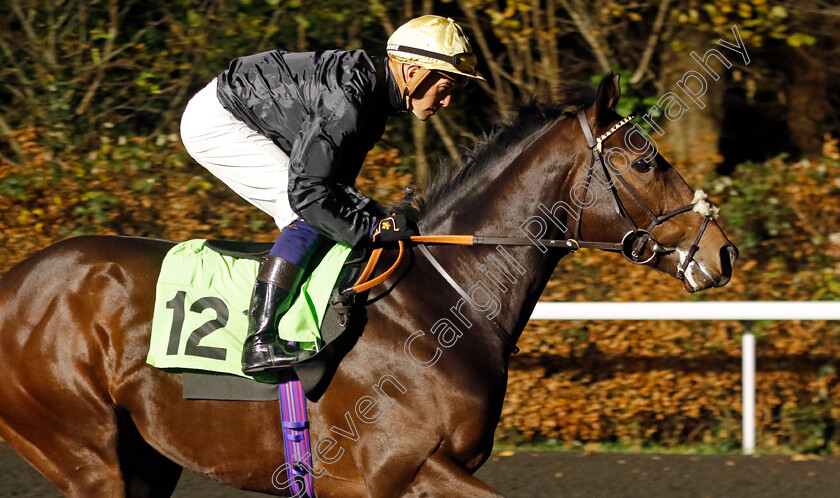 Oursin-0001 
 OURSIN (Jim Crowley)
Kempton 4 Dec 2024 - Pic Steven Cargill / Racingfotos.com