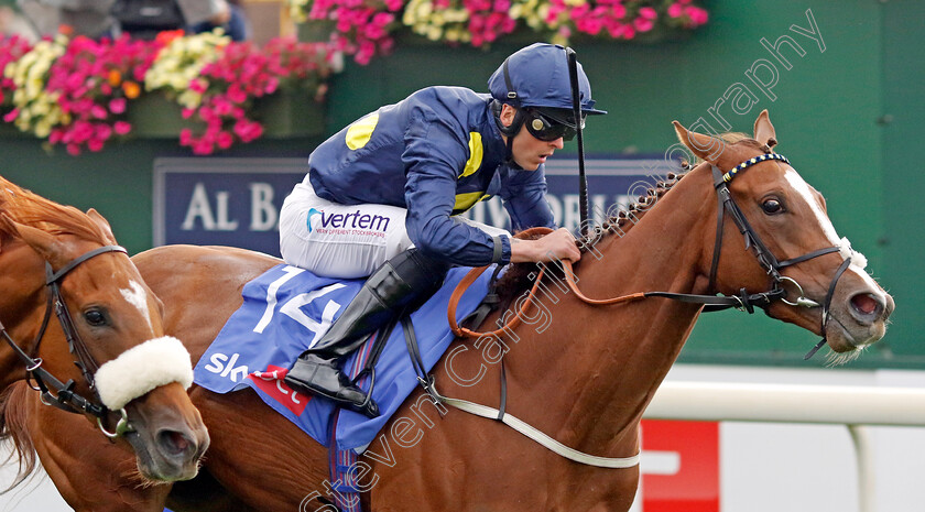 Swingalong-0006 
 SWINGALONG (Clifford Lee) wins The Sky Bet Lowther Stakes
York 18 Aug 2022 - Pic Steven Cargill / Racingfotos.com