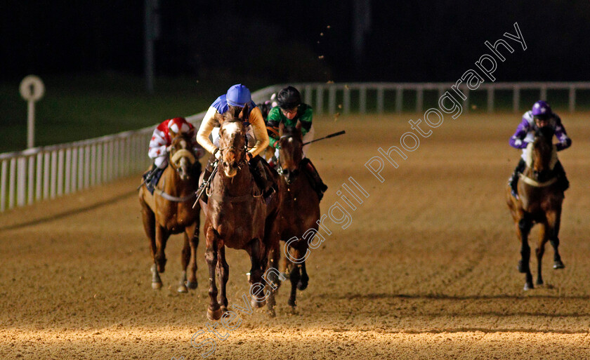 Album-0004 
 ALBUM (Richard Kingscote) wins The Play 4 To Score At Betway Handicap
Wolverhampton 4 Jan 2021 - Pic Steven Cargill / Racingfotos.com