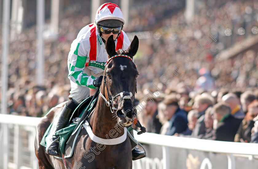 Mister-Fisher-0001 
 MISTER FISHER (Nico de Boinville)
Cheltenham 12 Mar 2020 - Pic Steven Cargill / Racingfotos.com