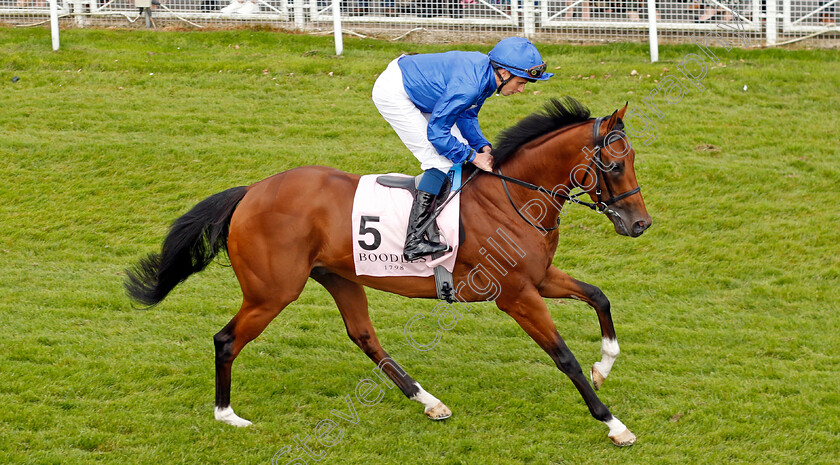 Hidden-Law-0005 
 HIDDEN LAW (William Buick) winner of The Boodles Chester Vase
Chester 8 May 2024 - Pic Steven Cargill / Racingfotos.com