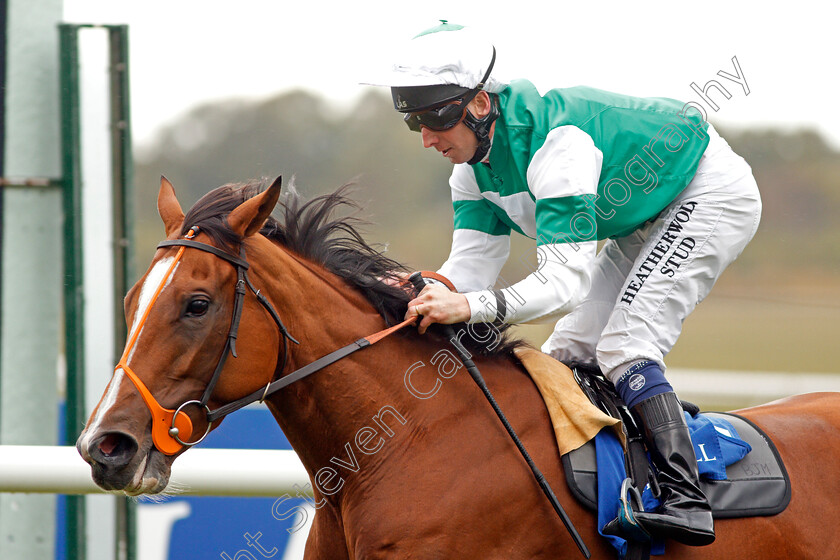 Spirit-Of-Appin-0001 
 SPIRIT OF APPIN (Martin Dwyer) wins The Princess Royal Muhaarar Stakes
Newmarket 27 Sep 2019 - Pic Steven Cargill / Racingfotos.com