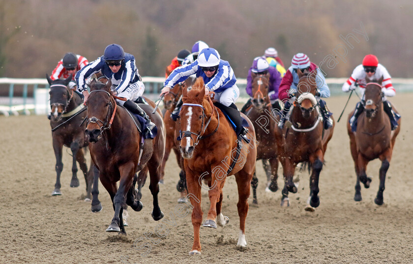 Fantastic-Fox-0002 
 FANTASTIC FOX (Aidan Keeley) beats TALIS EVOLVERE (left) in The Bet £10 Get £40 At Betmgm Handicap
Lingfield 20 Jan 2024 - Pic Steven Cargill / Racingfotos.com