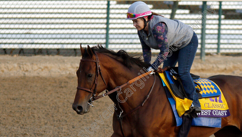 West-Coast-0003 
 WEST COAST exercising ahead of The Breeders' Cup Classic
Churchill Downs USA 31 Oct 2018 - Pic Steven Cargill / Racingfotos.com