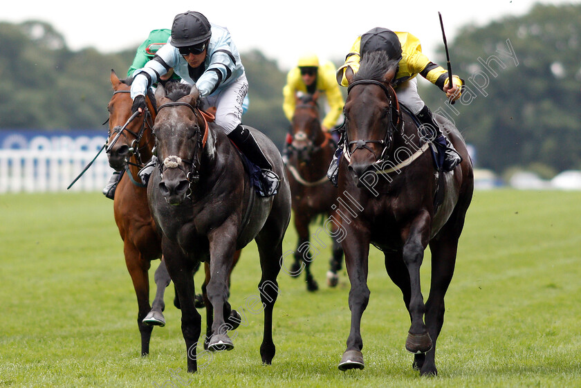 Green-Power-0004 
 GREEN POWER (right, Joao Moreira) beats GEORGE OF HEARTS (left) in The Dubai Duty Free Shergar Cup Sprint
Ascot 11 Aug 2018 - Pic Steven Cargill / Racingfotos.com