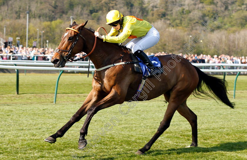 Major-Valentine-0003 
 MAJOR VALENTINE (Kate Leahy) wins The UK Meds Direct Apprentice Handicap
Nottingham 20 Apr 2019 - Pic Steven Cargill / Racingfotos.com