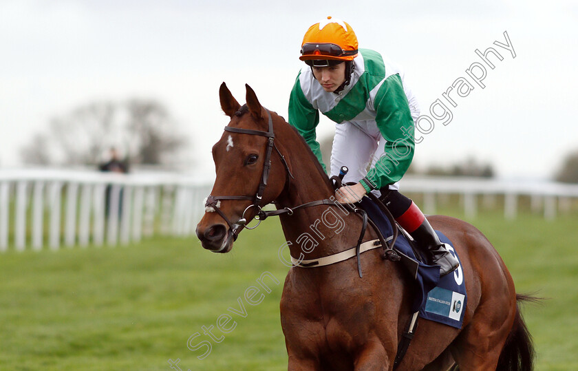 True-Self-0002 
 TRUE SELF (Colin Keane) before winning The British Stallion Studs EBF Beckford Stakes
Bath 17 Oct 2018 - Pic Steven Cargill / Racingfotos.com