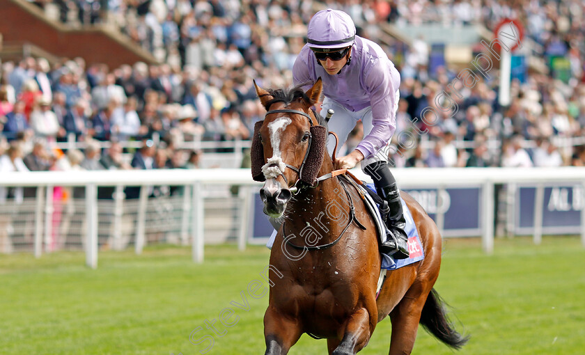 Grand-Alliance-0001 
 GRAND ALLIANCE (Tom Marquand)
York 17 Aug 2022 - Pic Steven Cargill / Racingfotos.com