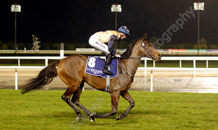 Annerville-0002 
 ANNERVILLE (Ben Coen)
Meydan 27 Jan 2023 - Pic Steven Cargill / Racingfotos.com