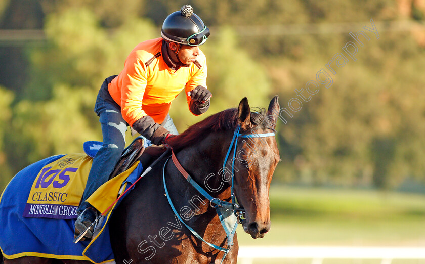 Mongolian-Groom-0001 
 MONGOLIAN GROOM training for the Breeders' Cup Classic
Santa Anita USA 30 Oct 2019 - Pic Steven Cargill / Racingfotos.com